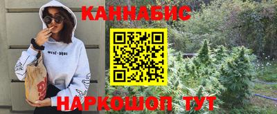 ешки Будённовск