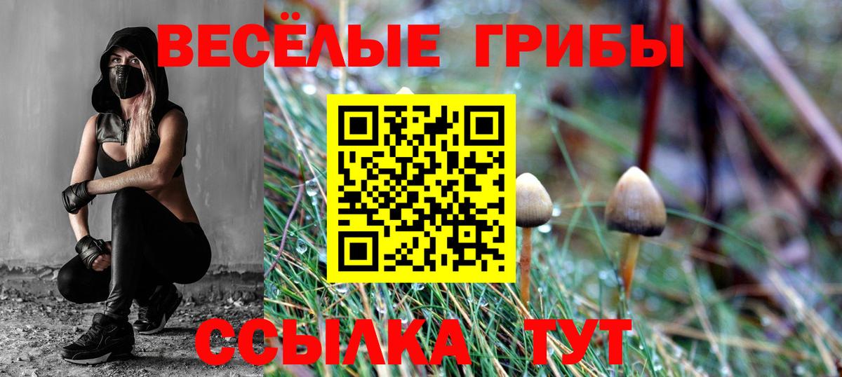 Псилоцибиновые грибы MAGIC MUSHROOMS  Вход с VPN  Кубинка 
